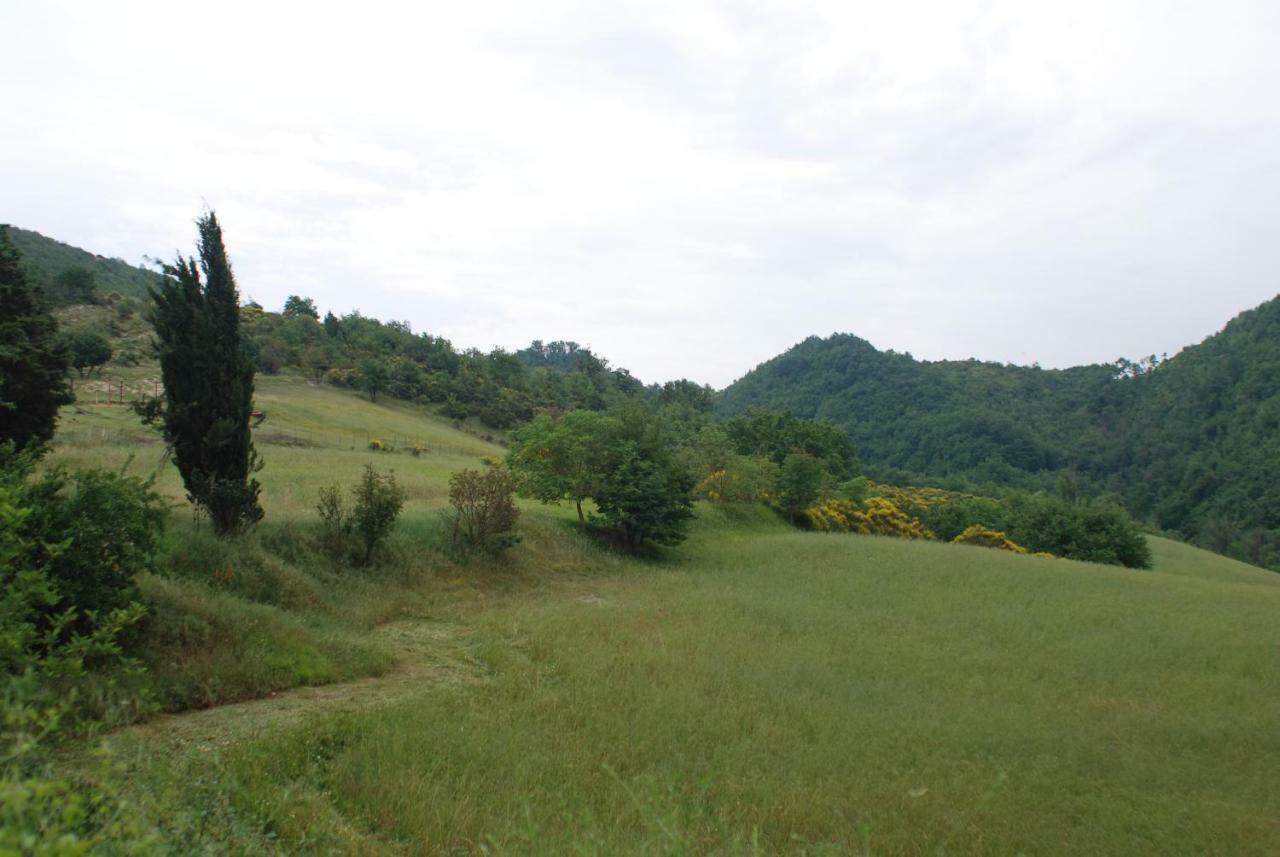 Casa Vinto Hotel Cagli Luaran gambar