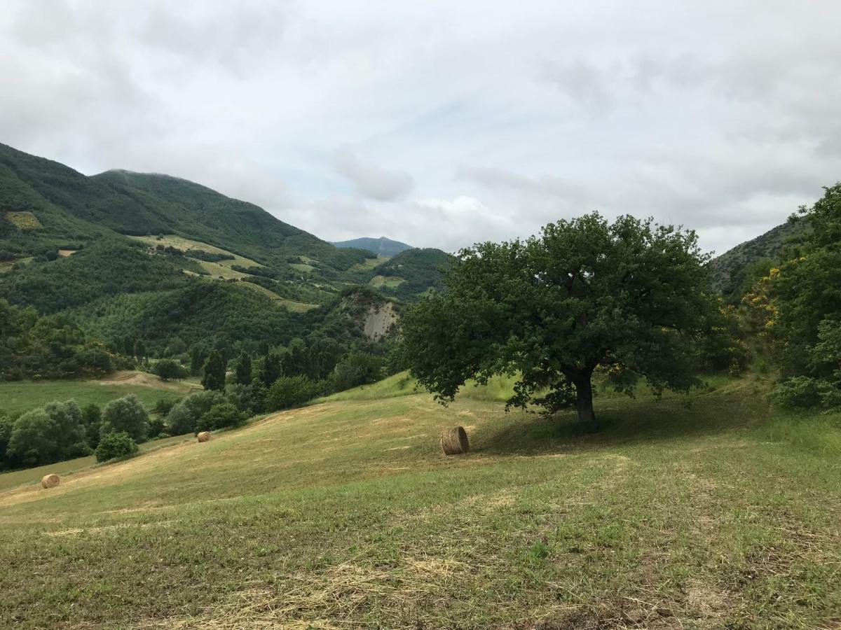 Casa Vinto Hotel Cagli Luaran gambar